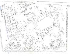 Hatton Plan 2021 Numbered plan of Hatton Graveyard - zoom in for more detail